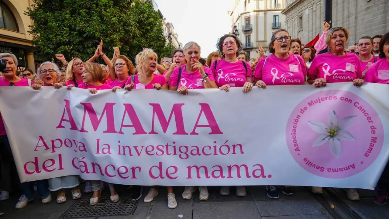  Centenares de personas han respaldado la convocatoria de Amama ante las oficinas del SAS y han exigido dimisiones, materializada una hora y media despu&eacute;s en la persona de la consejera de Salud, Roc&iacute;o Hern&aacute;ndez 