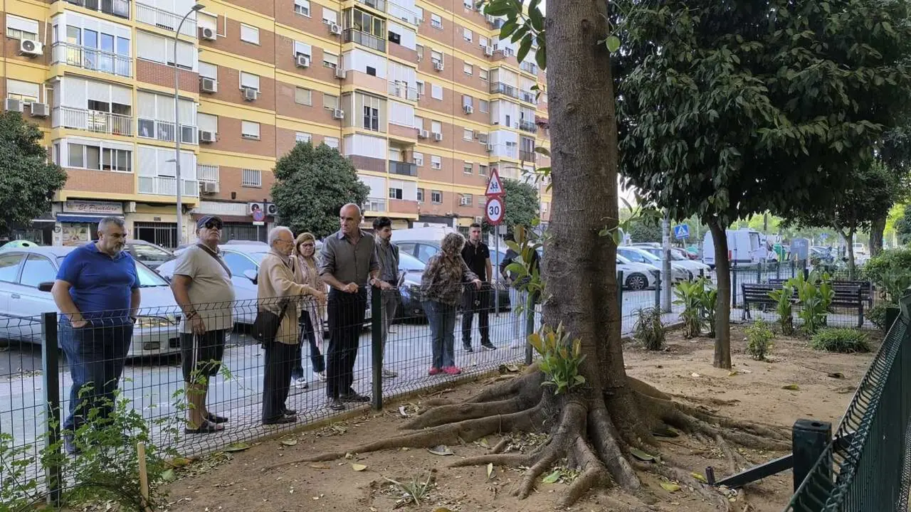  El portavoz del grupo municipal socialista, Antonio Mu&ntilde;oz, en Santa Aurelia | PSOE MUNICIPAL 