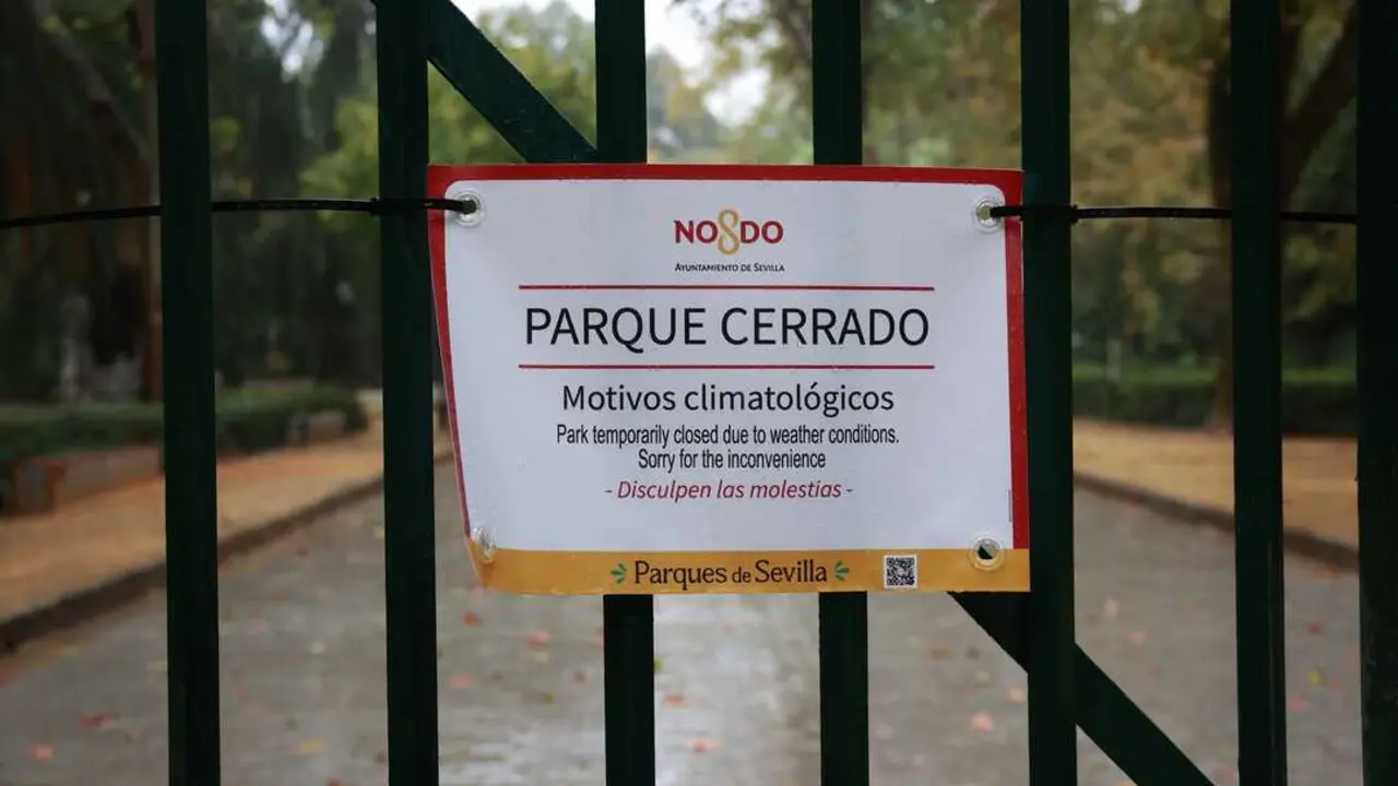  Im&aacute;genes del Parque de Mar&iacute;a Luisa cerrado por motivos meteorol&oacute;gicos | ROC&Iacute;O RUZ - E.P. 