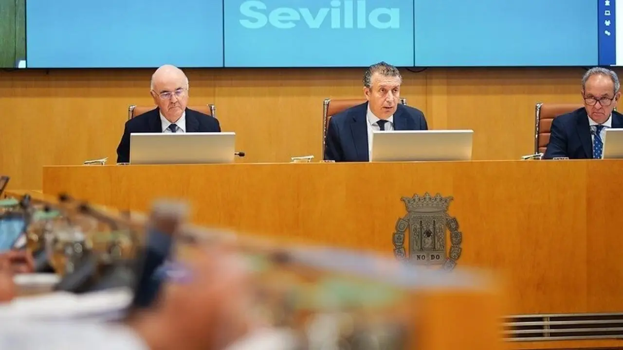  Una sesi&oacute;n plenaria en la Diputaci&oacute;n de Sevilla. | EP/Archivo 