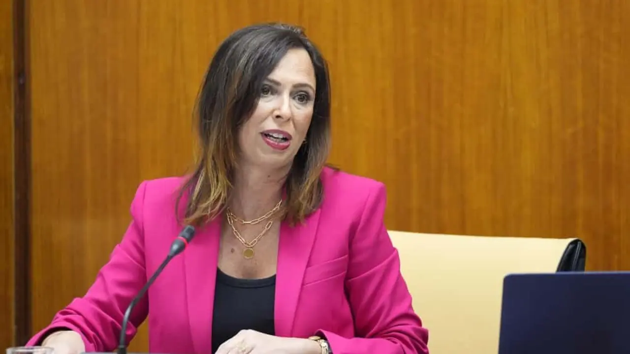  Consejera Roc&iacute;o D&iacute;az comisi&oacute;n 