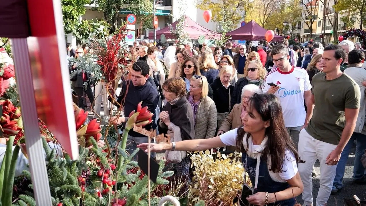  Segundo Mercado de las Flores en el barrio de El Porvenir de Sevilla |&nbsp;AYUNTAMIENTO DE SEVILLA 