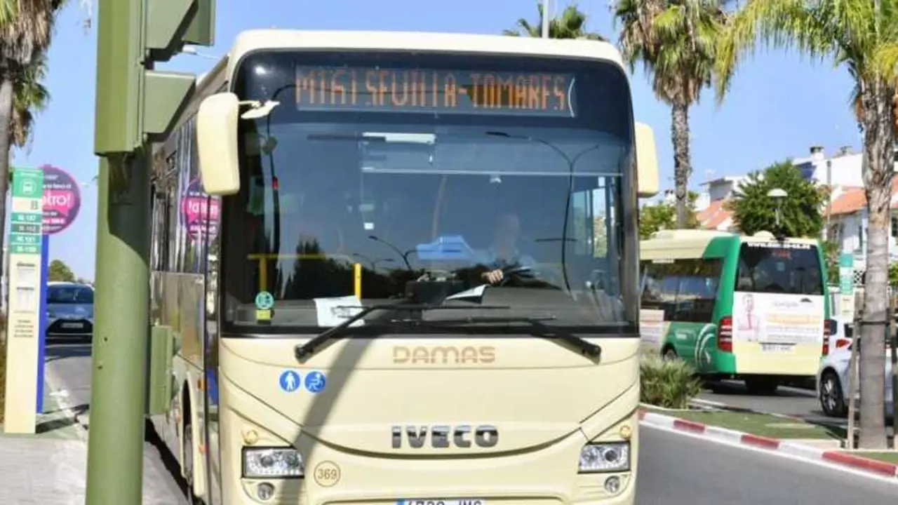  Autob&uacute;s del Consorcio.| ARCHIVO 