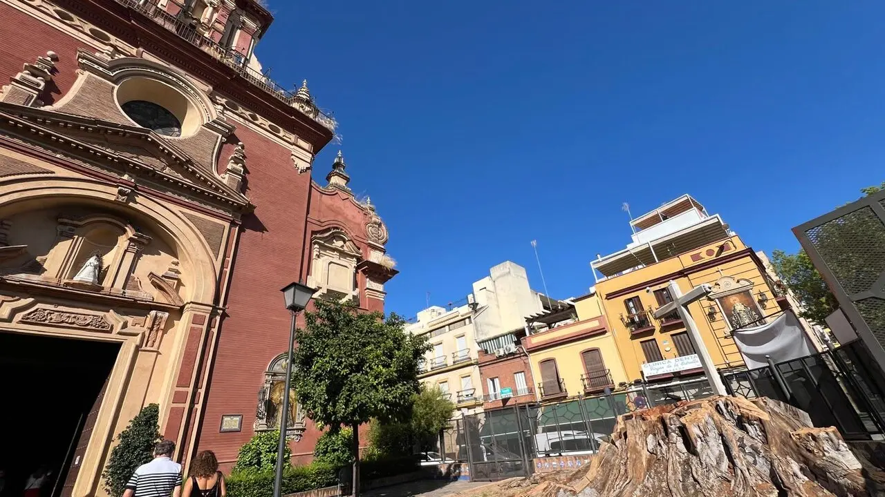  El toc&oacute;n del ficus de San Jacinto. | Archivo 