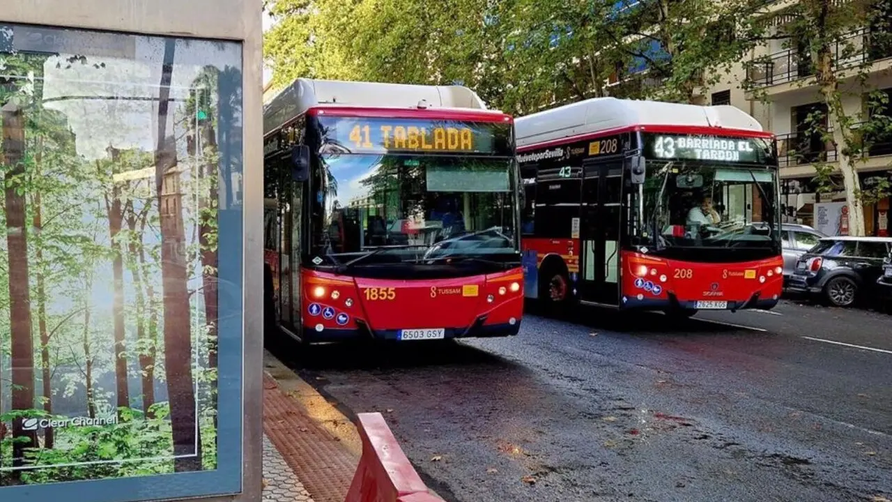  Autobuses de Tussam. | Archivo 