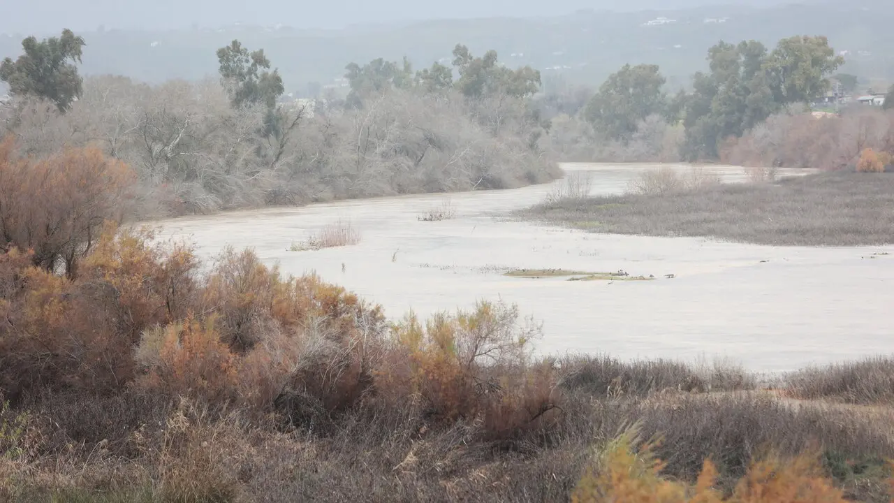  El caudal de los r&iacute;os, como el Guadalquivir, est&aacute;n bajo vigilancia. EP 