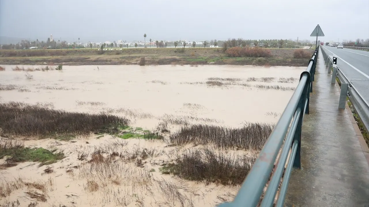  e de Foto:<br>Imagen del r&iacute;o Guadalquivir a su paso por la localidad sevillana de Lora del R&iacute;o mostrando una importante subida de caudal tras las &uacute;ltimas lluvias dejadas por la borrasca Joseph | E.P. 