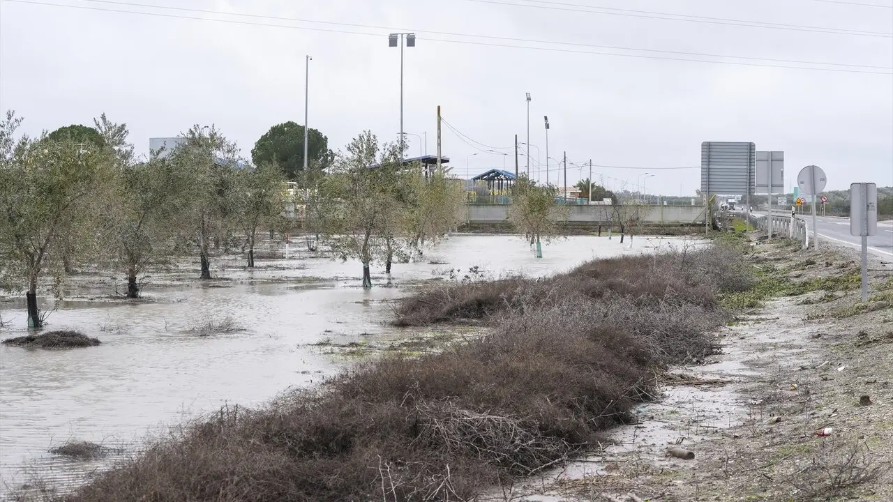 Im&aacute;genes de los restos del desbordamiento del Arroyo Saladillo a su paso por la A-394 en Arahal. | EP. 