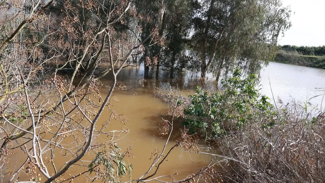  El r&iacute;o Guadalquivir presenta un importante aumento de su caudal amenazando con desbordarse a su paso por la sevillana localidad de Cantillana |&nbsp;E.P. 