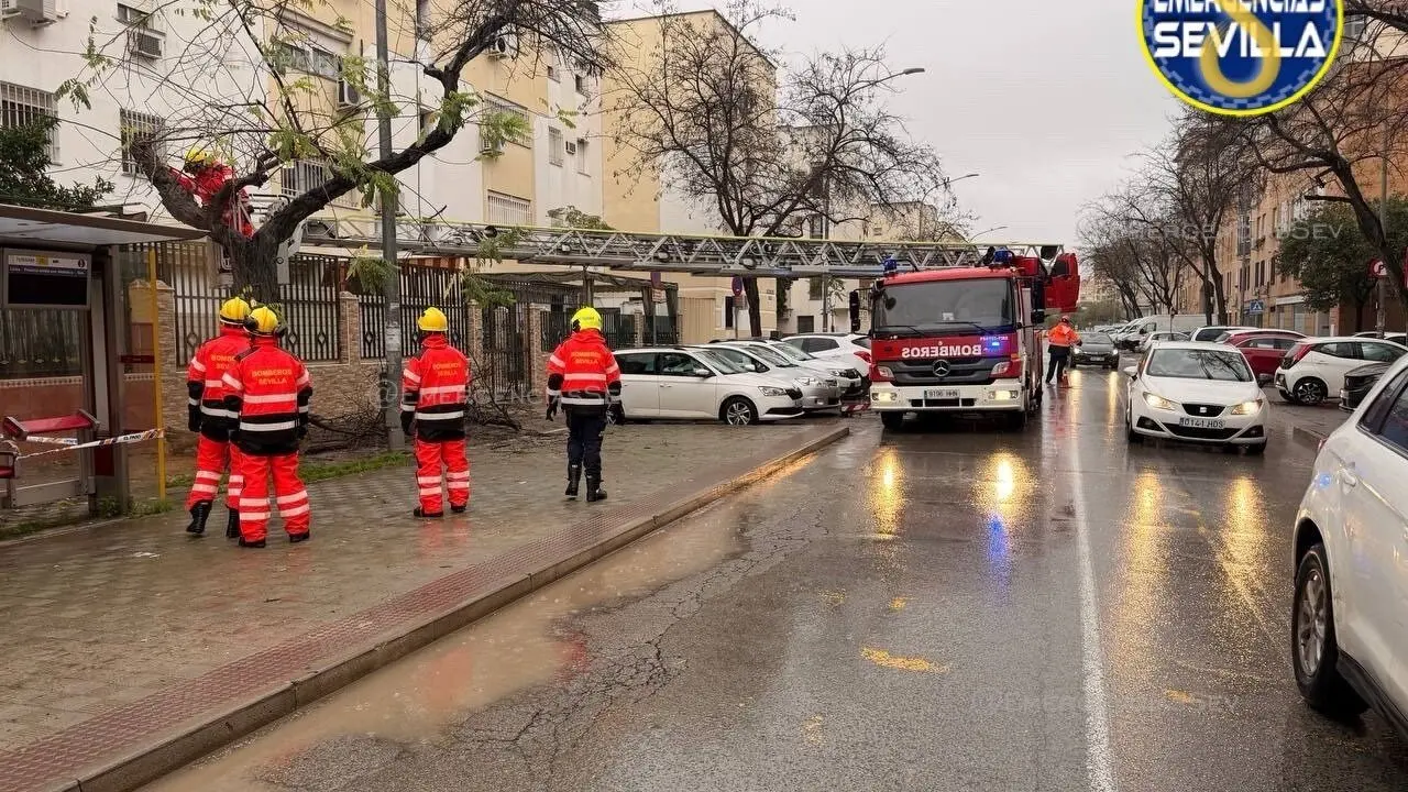  Bomberos act&uacute;an tras el aviso por una incidencia relacionada con el temporal | AYTO SEVILLA 