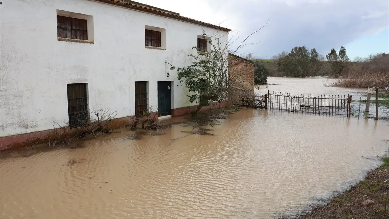  Crecida del r&iacute;o Guadalquivir a su paso por el pueblo sevillano de Lora del R&iacute;o | E.P. 