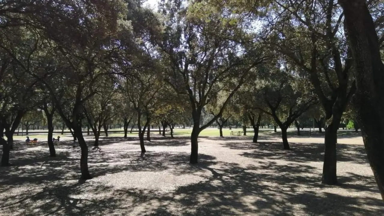  El Parque del Alamillo. | Archivo 