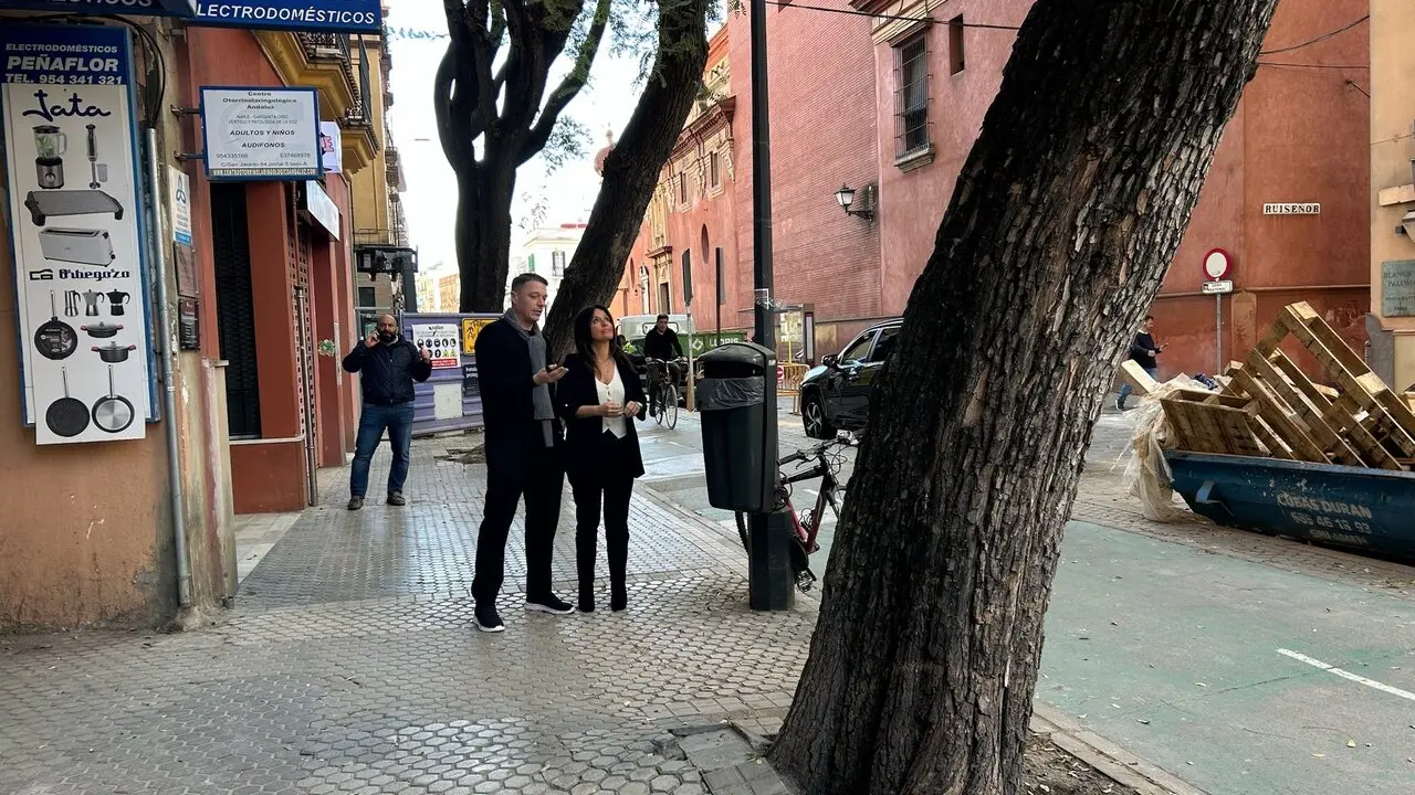  Una de las tipuanas que ser&aacute;n apeadas en Triana, en San Jacinto. | AYTO 