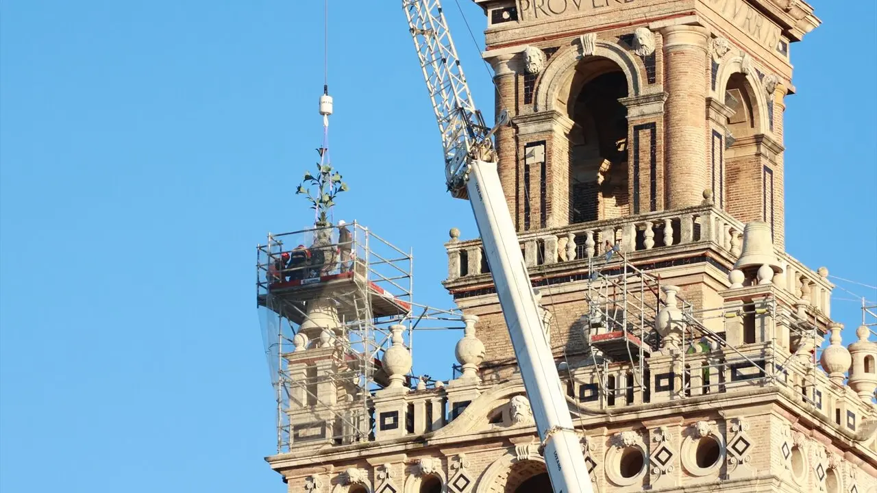  Tareas de retirada de las azucenas de la Giralda de Sevilla | E.P. 