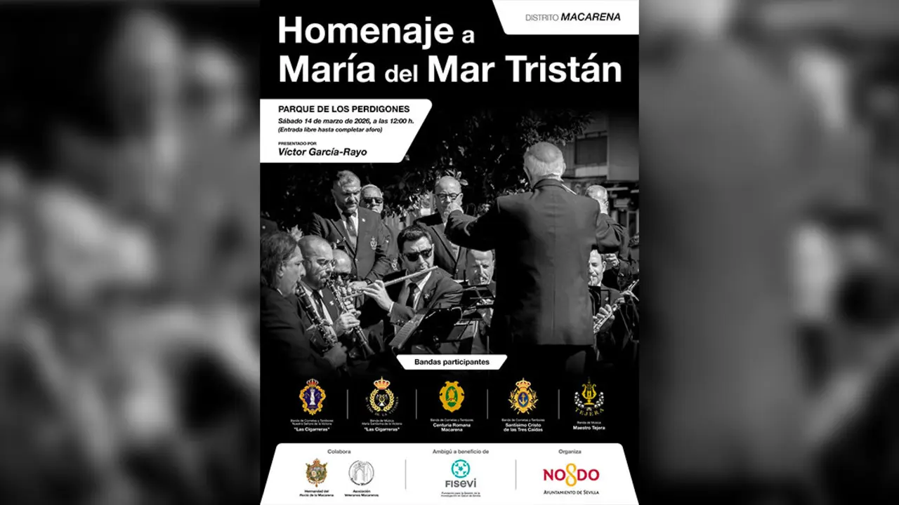  Cartel del concierto 