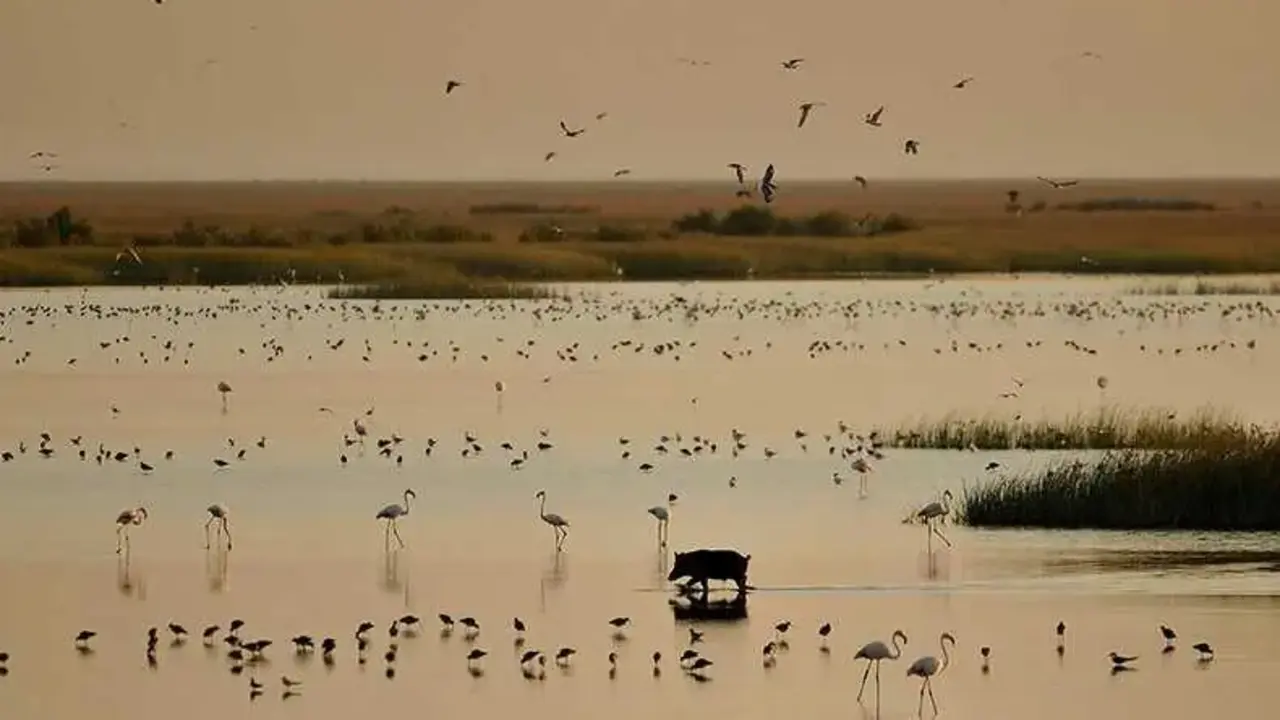 Vista del atardecer en Do&ntilde;ana. | Ayto. de Almonte.