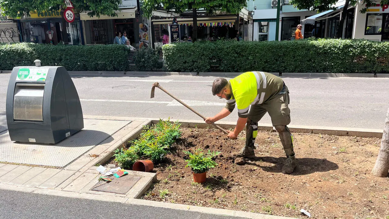  Operarios trabajando en la plantaci&oacute;n. |&nbsp; AYTO 
