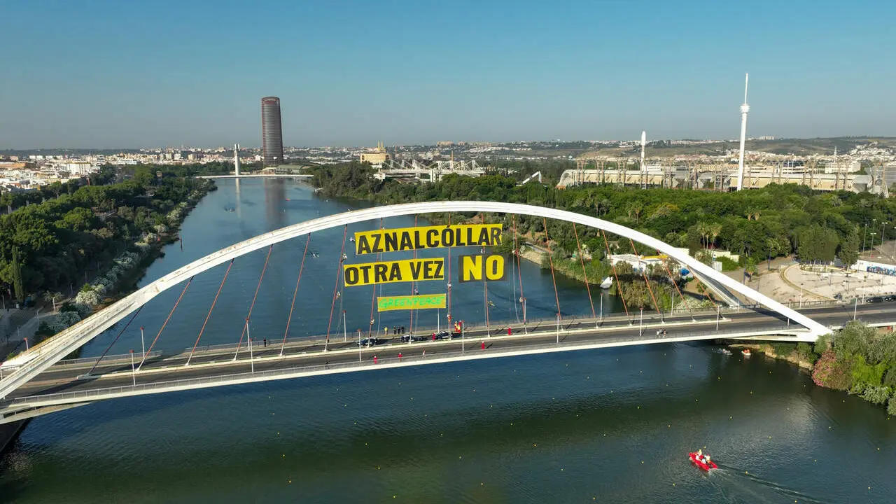  Greenpeace despliega una gran lona:  &ldquo;Aznalc&oacute;llar, otra vez no&rdquo;. | Greenpeace/Pedro Maestre 