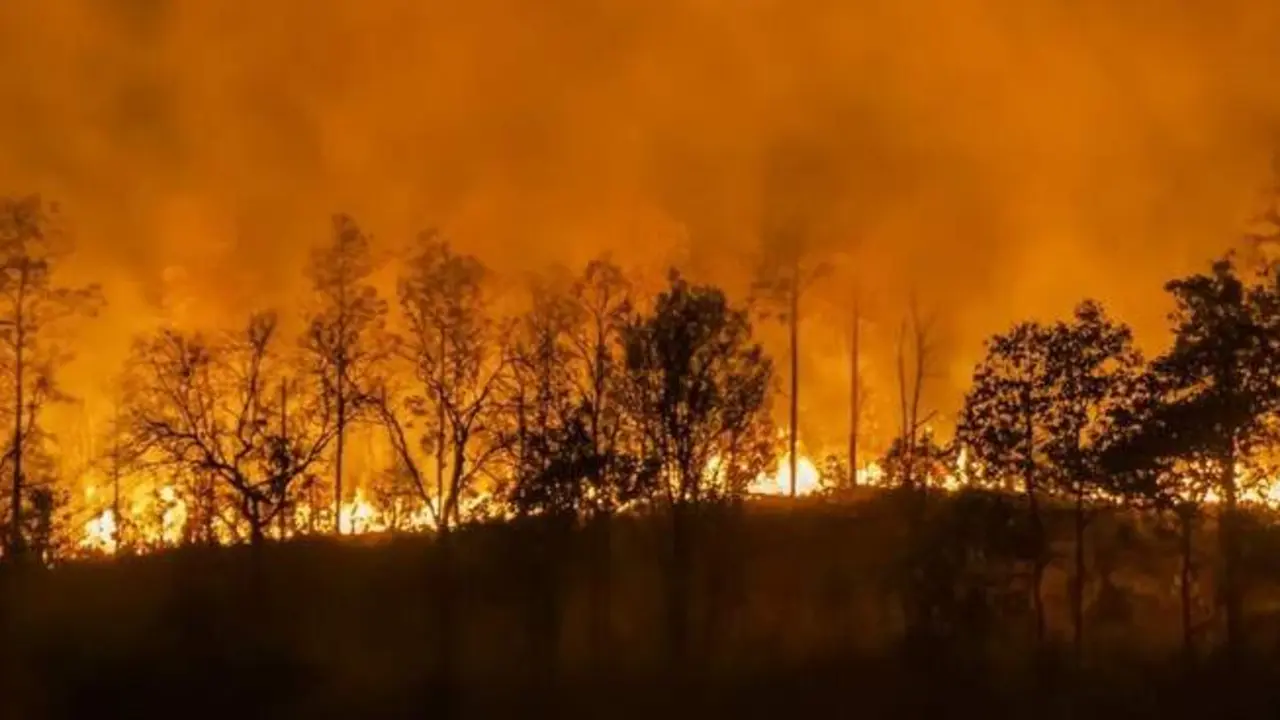  Incendio forestal. | CSIF 