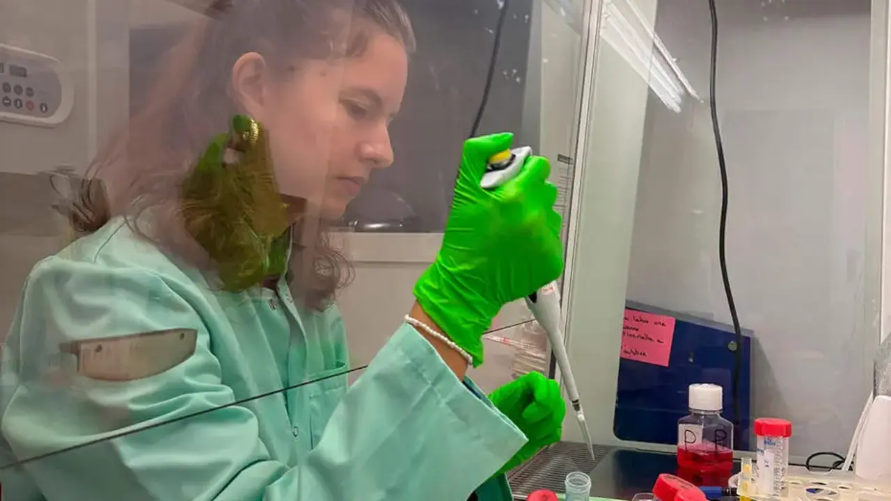 La investigadora de la Universidad de Sevilla Cristina Plata. | Junta de Andaluc&iacute;a
