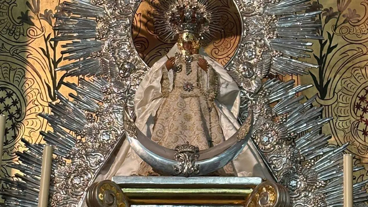  Virgen de Guadalupe de la MIsericodia |&nbsp;HDAD 