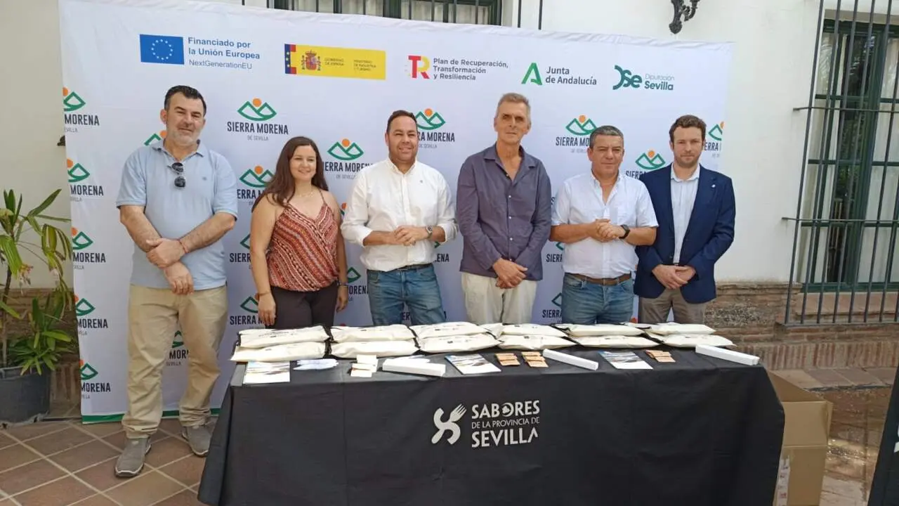  Jornada de clausura de los planes de Inmersi&oacute;n Digital del Sector Tur&iacute;stico y de Fomento del Comercio Electr&oacute;nico desarrollados en el marco del Plan de Sostenibilidad Tur&iacute;stica en Destino (PSTD) Sierra Morena Sevillana |&nbsp;DIPUTACI&Oacute;N DE SEVILLA 