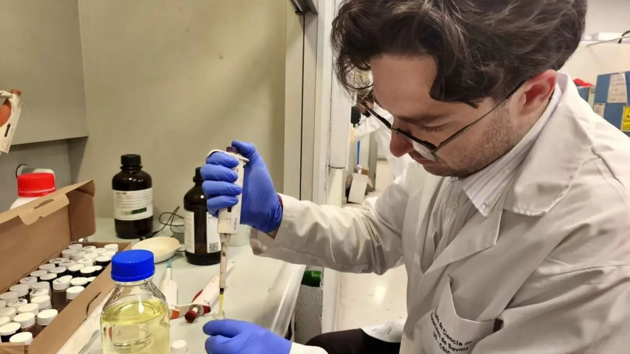  Investigadores del Instituto de Ciencia de Materiales de Sevilla (ICMS) dise&ntilde;an un nuevo catalizador que transforma di&oacute;xido de carbono en mon&oacute;xido de carbono |&nbsp;UNIVERSIDAD DE SEVILLA 