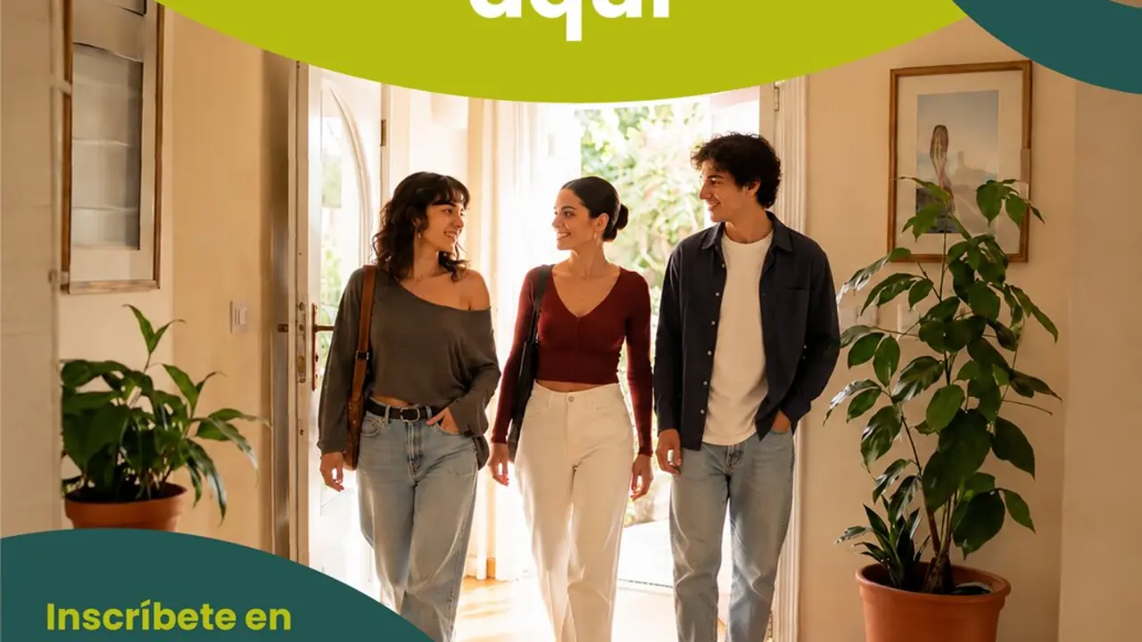  Registro de demandantes de VPO de Sevilla Activa. | DIPU 