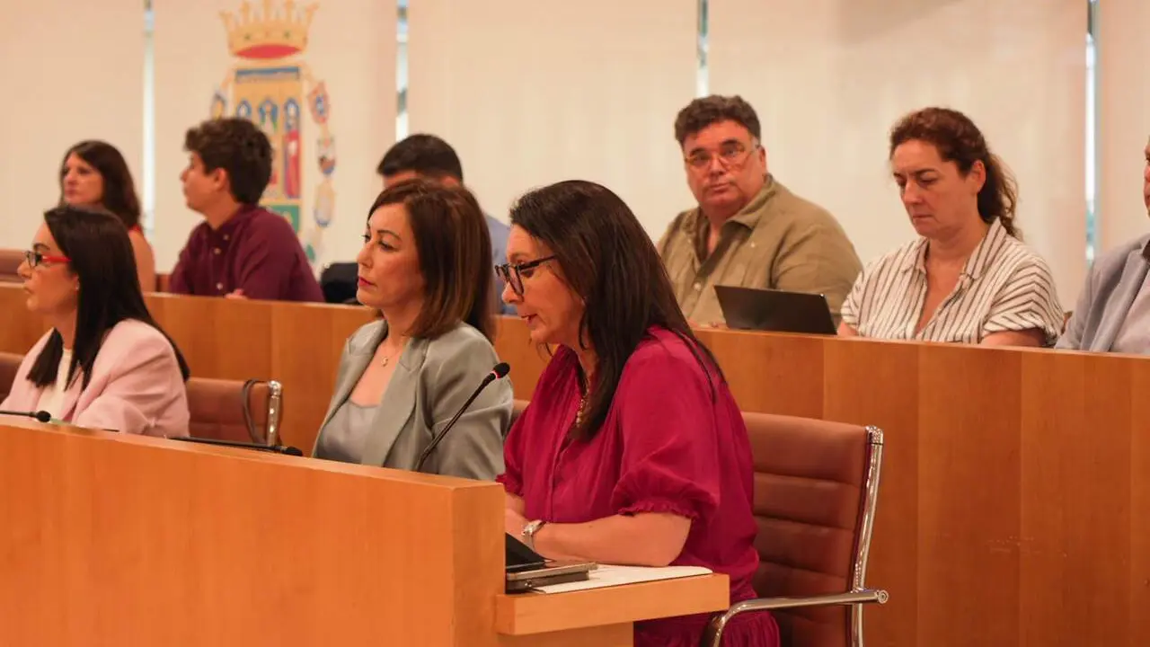  Junta de Gobierno de Diputaci&oacute;n para abordar los planes de cohesi&oacute;n territorial | DIPUTACI&Oacute;N DE SEVILLA 