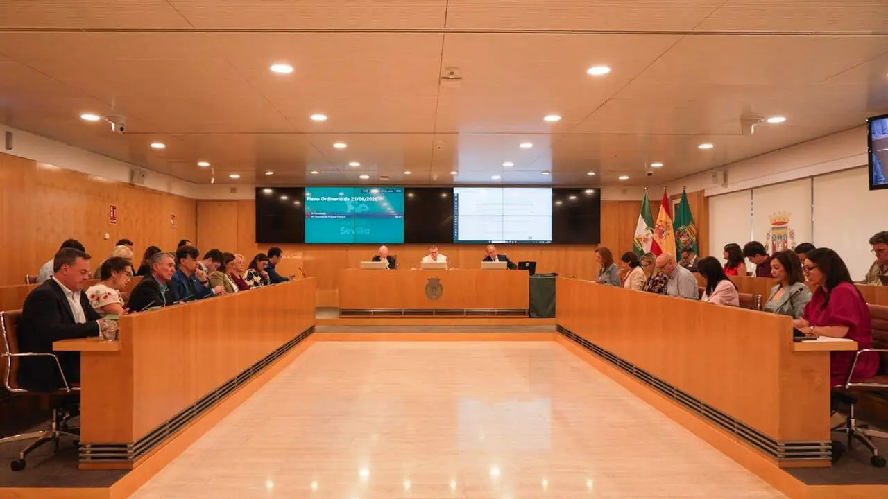 Pleno de la Diputaci&oacute;n de Sevilla como imagen de recurso 