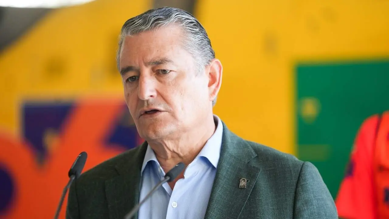 El consejero en funciones de Sanidad, Presidencia y Emergencias de la Junta de Andaluc&iacute;a, Antonio Sanz. | EP 