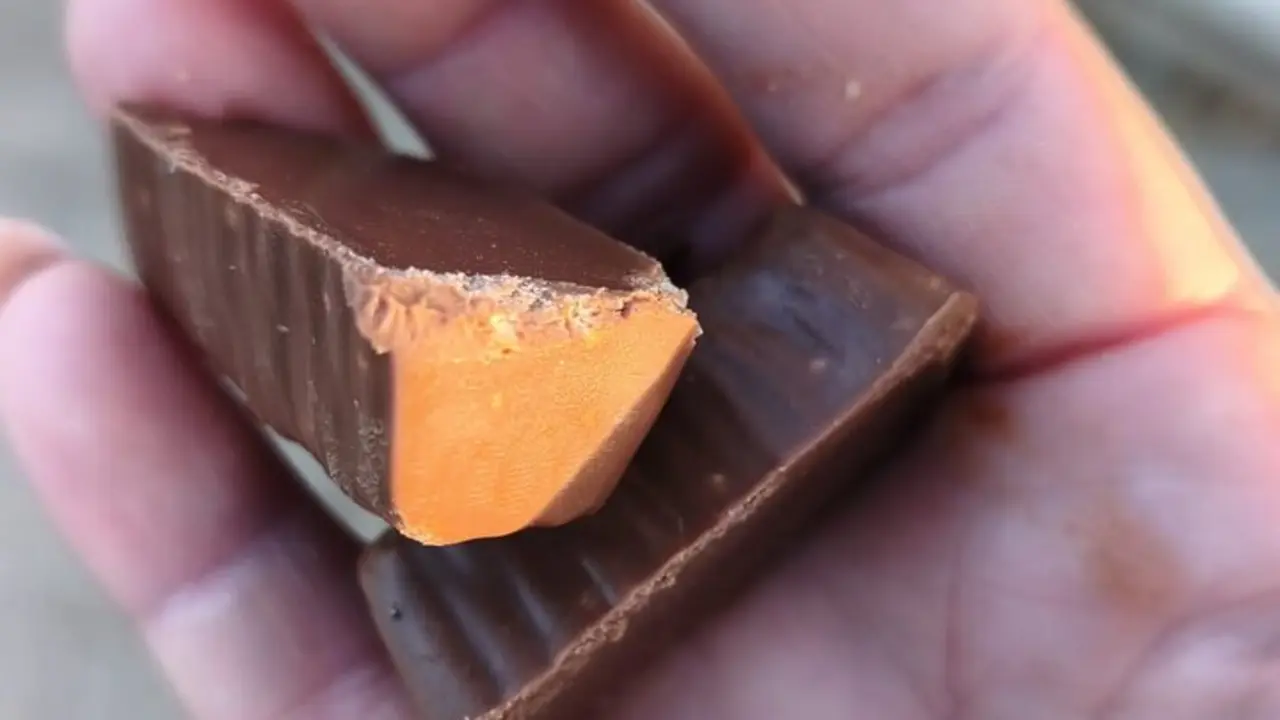  Bombones para perros con veneno. | Viva 