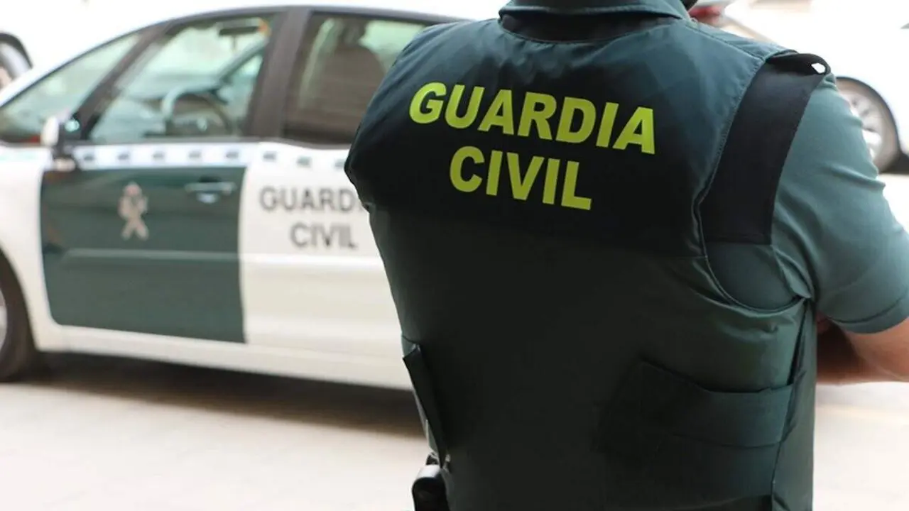  Un agente de la Guardia Civil, de espaldas, junto a un veh&iacute;culo oficial.<br>GUARDIA CIVIL<br>(Foto de ARCHIVO)<br>01/1/1970 