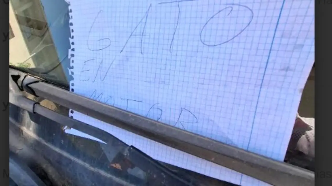  La leyenda de alerta en el coche. | MJF 