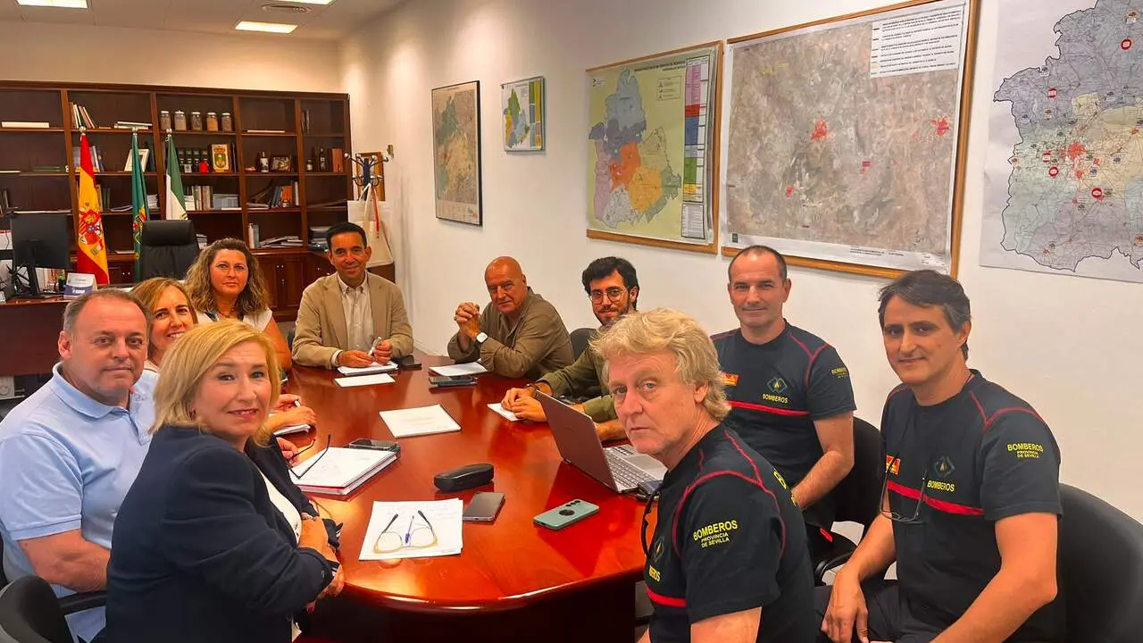  Comisiones mixtas del Consorcio Provincial de Bomberos de Sevilla | DIPUTACI&Oacute;N DE SEVILLA 
