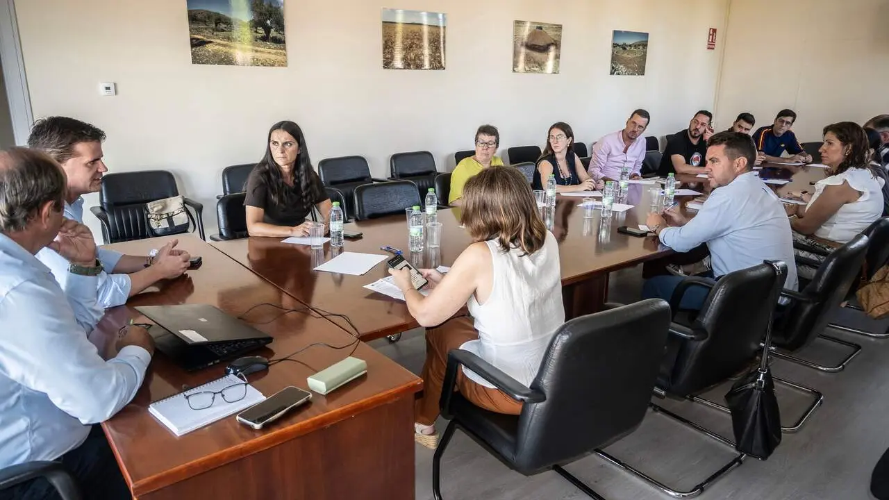  Una de las reuniones de trabajo t&eacute;cnicas con localidades integradas y beneficiadas en los Fondos Feder PAI EDIL 